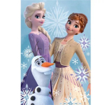 Laste fliistekk Disney Frozen, 100x150 cm.