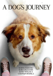 DVD film Koera teekond, 2019