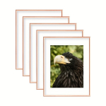 Fotoraamid, 5 tk, 12&times;16【30,4&times;40,6 cm】