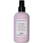 Your Hair Assistant Blowdry Primer - Ochrana vlasů před f&eacute;nov&aacute;n&iacute;m