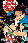 Koomiksid Manga Demon slayer vol 1