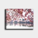 Pilt Kirsi&otilde;ied