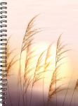 Nature A5, spiraalk&ouml;ide, pilt 3, Nature A5, wire-bound, image 3