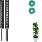 Monstera Trellis, 2 tk moosipuude pakett