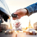 Akr&uuml;&uuml;list balletisea peegelripats, kaunistus. Rivex, P&otilde;rsa harjutus