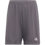 Poiste l&uuml;hikesed p&uuml;ksid Adidas Entrada 22 Jr H57507, hallid