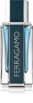 Parf&uuml;&uuml;mvesi Salvatore Ferragamo Intense Leather EDP meestele 50 ml
