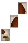 Kolmeosaline Reproduktsioon Huhu469