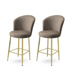 2 baaritooli komplekt Fora, cappuccino/kuldne v&auml;rv