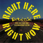 Fatboy Slim - Right Here Right Now (vin&uuml;&uuml;lplaat, LP)