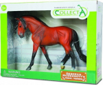 Bright Bay Andaluusia hobune pakis - Collecta