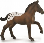 Sugarbush Draft varss - Collecta