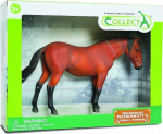 Luistiano Mare Bay hobune pakendis - Collecta