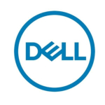 DELL 161-BBPH 3.5" 4000 GB NL-SAS kuumvahetusega k&otilde;vaketas серверile 7200 RPM