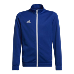 Sweater na ŋutsuviwo Adidas, blɔ