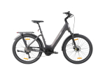 TTGO Z5 elektriline velg 27,5, hall