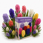 H&uuml;atsindisibulate komplekt City Bloom Fragrant Garden Nojus 15 tk