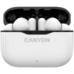 Canyon TWS-3 CNE-CBTHS3W