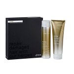 Kinkekomplekt JOICO K-Pak Reconstructing Shampoo 300ml + Conditioner 250m