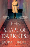 Shape of Darkness: 'A future gothic classic' Martyn Waites