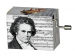 Muusikakast Fridolin Beethoven Song of Joy