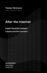 After the Internet: Digital Networks between the Capital and the Common