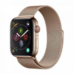Devia Elegant Series Milanese Loop sobib Apple Watch(40mm), Kuldne