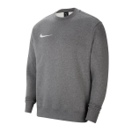 Meeste dressipluus Nike Park 20 Crew Fleece M CW6902-071, hall