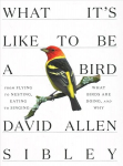 What It's Like to be a Bird: From Flying to Nesting, Eating to Singing--What Birds Are Doing, and Why