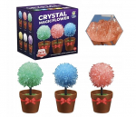 Loominguline kristallide kasvatamise komplekt Crystal Go