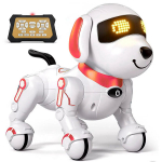 Interaktiivne kaugjuhitav koer