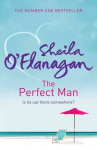 Perfect Man: Let the #1 bestselling author take you on a life-changing journey