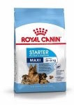 Kuivtoit imetavatele emastele koertele v&otilde;i kutsikatele Royal Canin Maxi Starter Mother & Babydog, 15 kg