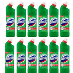 WC puhastusvahend Domestos Pine Fresh, 1000ml x 12 pudelit