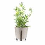 Lillepott Moss Coffee, 34x32 cm, pruun
