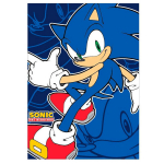 Fliispleed Sonic