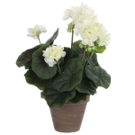 Te artificially - Mica Decorations - Geranium - Kreem - H34 x &Oslash;20 cm - Ilma hooldust