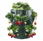VEEGETABLE PONDING BRUSKETS TUBE POND 35cm