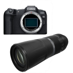 Canon EOS R8 + RF 800mm f/11 IS STM