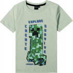 Javoli laste T-s&auml;rk Minecraft FKC63811 02, heleroheline/roheline