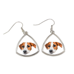 Jack Russell terjer - k&otilde;rvar&otilde;ngad pildi ja geomeetrilise koeraga Art-Dog, XS
