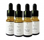 Eeterlikud &otilde;lid difuusorile PRISTINE, 4 x 10 ml