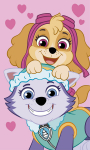 Laste r&auml;tik Paw Patrol Pink 30x50 cm