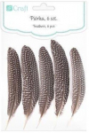 P&otilde;ldp&uuml;&uuml; suled, 18-20 cm, 5 t&uuml;kki.
