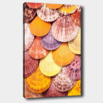 Reproduktsioon l&otilde;uendil V&auml;rvilised valamud