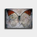 Reproduktsioon Liblikas