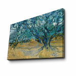 Reproduktsioon Olive Trees (Vincent Van Gogh)