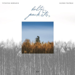 Vin&uuml;&uuml;lplaat Vytautas Kernagis, Dainos Teatras Baltas Pauk&scaron;tis 2LP