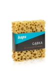 Kingapuhastuslapp Kaps
