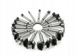Oksa freesid puidule Frees oksa frees komplekt 16tk 6-54 mm